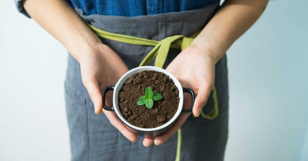 découvrez l'écologie, science essentielle qui étudie les interactions entre les organismes et leur environnement. explorez comment préserver notre planète, promouvoir la biodiversité et adopter des pratiques durables pour un avenir meilleur.