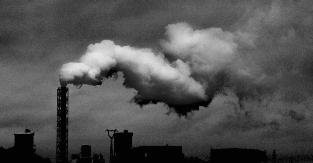 découvrez l'impact environnemental des activités humaines et les enjeux liés à la préservation de notre planète. analyses, solutions et initiatives durables pour un avenir respectueux de l'environnement.