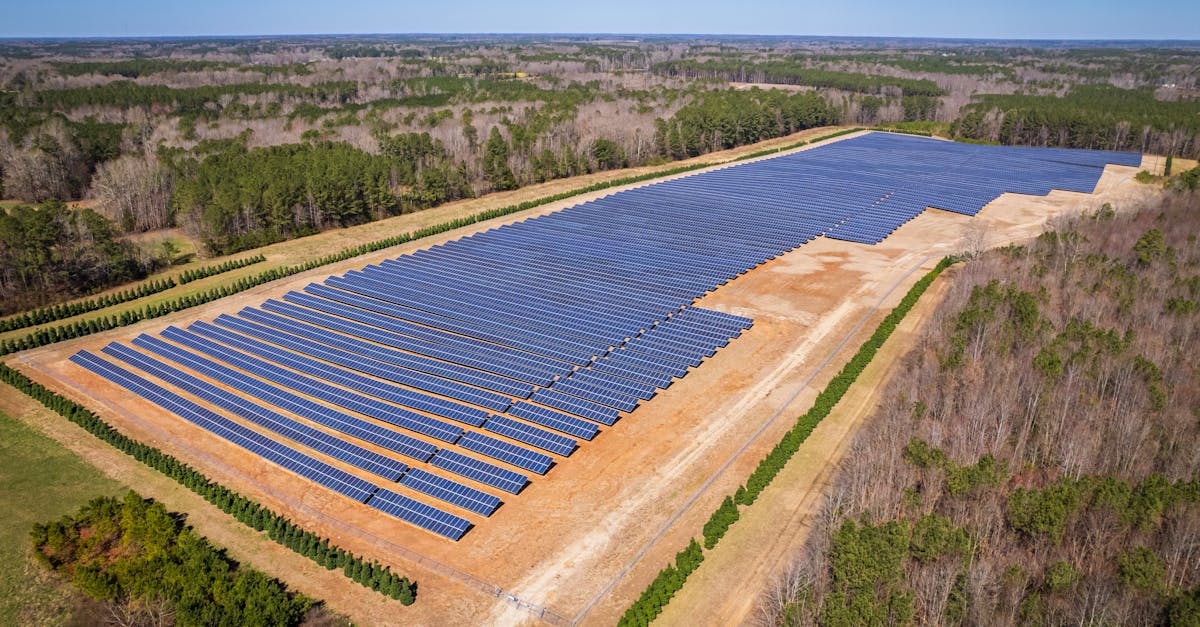 découvrez les enjeux de l'empreinte carbone et apprenez comment réduire votre impact environnemental. explorez des conseils pratiques, des stratégies efficaces et des astuces pour un mode de vie plus durable.