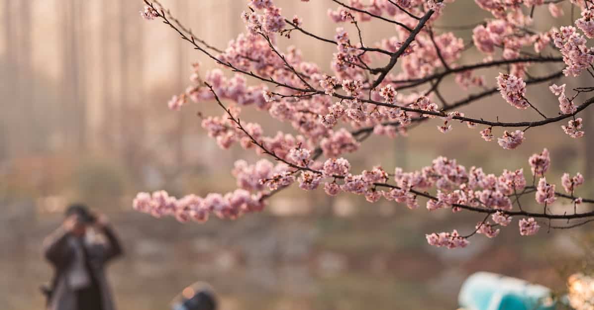 découvrez les subventions environnementales, des aides financières destinées à promouvoir des pratiques durables et à soutenir les initiatives écologiques. informez-vous sur les opportunités disponibles, leur impact sur la protection de notre planète et les secteurs bénéficiaires.