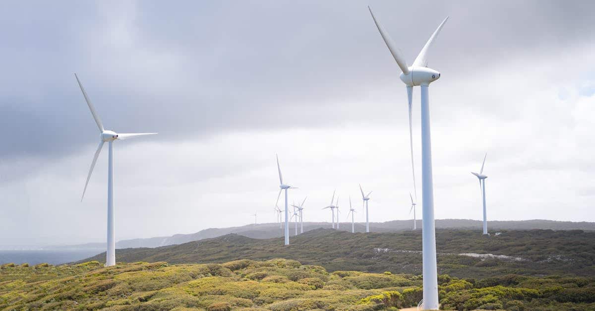 découvrez l'univers de l'énergie renouvelable : des solutions durables et écologiques pour un avenir plus vert. informez-vous sur les énergies solaires, éoliennes et hydrauliques, ainsi que sur leur impact positif sur la planète. engagez-vous dans la transition énergétique dès aujourd'hui !