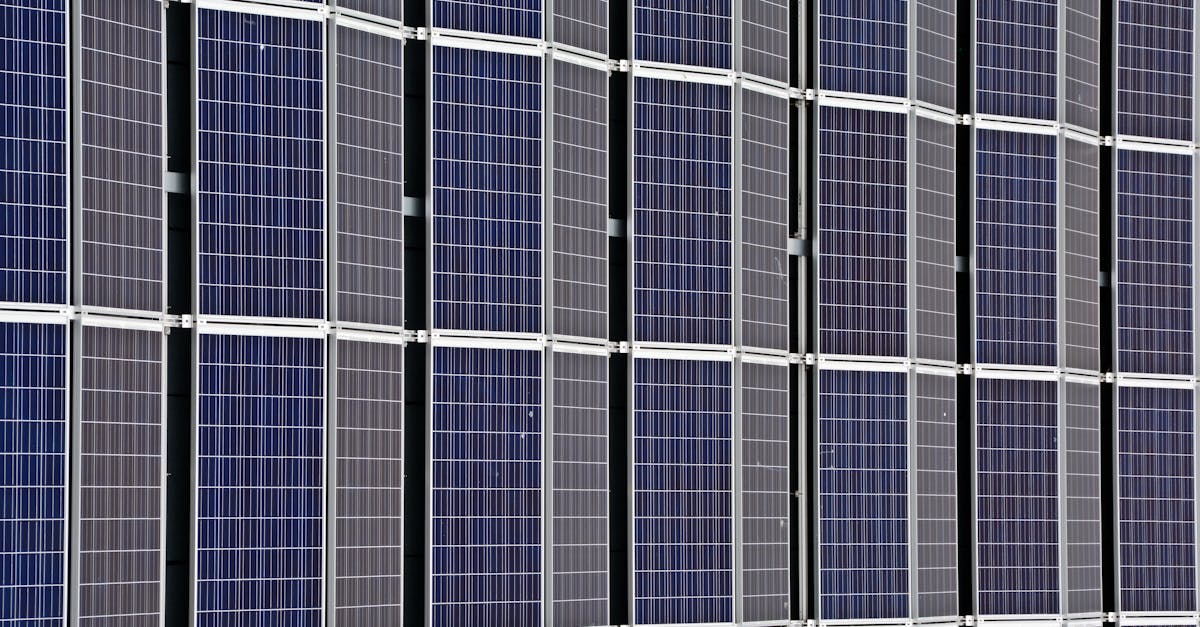 découvrez l'importance de la durabilité et son impact sur notre planète. apprenez comment adopter des pratiques durables dans votre quotidien pour préserver l'environnement et assurer un avenir meilleur.