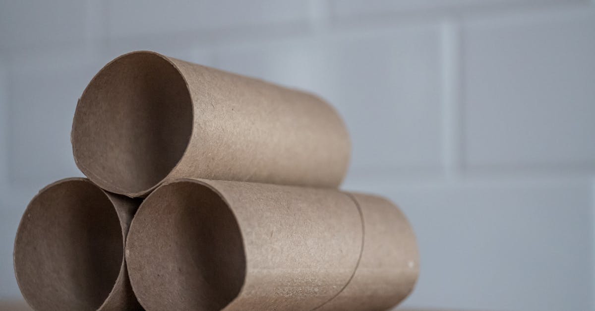 découvrez comment adopter une consommation durable pour préserver notre planète. explorez des astuces, des produits éco-responsables et des pratiques éthiques qui soutiennent un mode de vie respectueux de l'environnement.